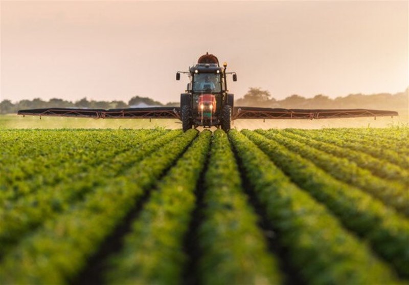 86 هزار هکتار سطح کشت قراردادی به مازندران ابلاغ شد