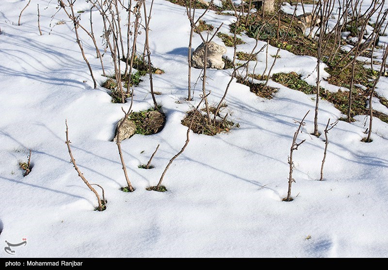آخرین وضعیت جادههای کردستان/ محور سقز ـ بانه و گردنه ژالانه مسدود شد/ بازگشایی راه 38 روستا