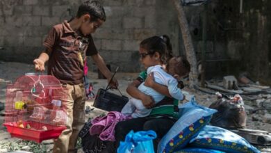 آنروا: بسیاری از آوارگان غزه در خیابانها میخوابند