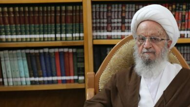 آیت الله مکارم: برخی نمیخواهند حقیقت ولایت علی(ع) را درک کنند