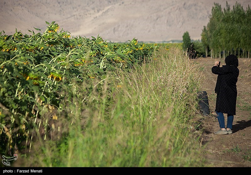 احداث 18 کیلومتر جاده دسترسی بین مزارع کشاورزی در سیستان و بلوچستان