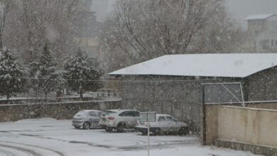 اردبیل رخت سپید بر تن کرد + فیلم