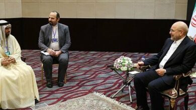 استفاده از همه فرصتهای سیاسی و ارتباطی کشورهای اسلامی برای پایان جنایت در فلسطین