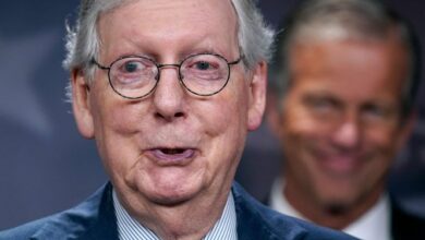 استقبال سناتور جمهوریخواه ارشد آمریکا از حمله به یمن