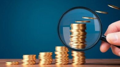 اطلس سرمایهگذاری کشور به زودی میآید/ اعلام نقشه هدایت سرمایهگذاران