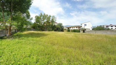 اعطای زمین رایگان به خانوادههای دارای 4 فرزند /مالیات واحدهای تولیدی کاهش مییابد