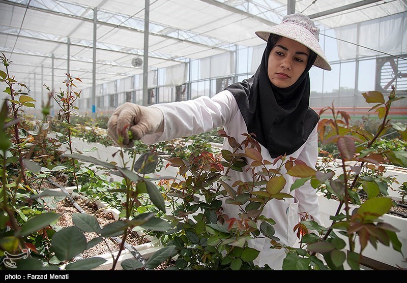 افتتاح و بهره برداری از 73 پروژه همزمان با دهه فجر در ایلام