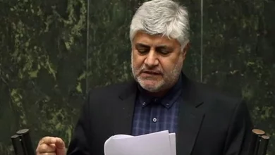 امروز بازار رها شده است/ گرانیها در کشور طبیعی نیست