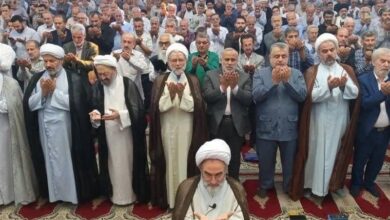 امم جمعه رشت: 70 درصد برنج کشاورزان شمالی روی دستشان ماند/ مسئولان محصول را مستقیم از کشاورز بخرند