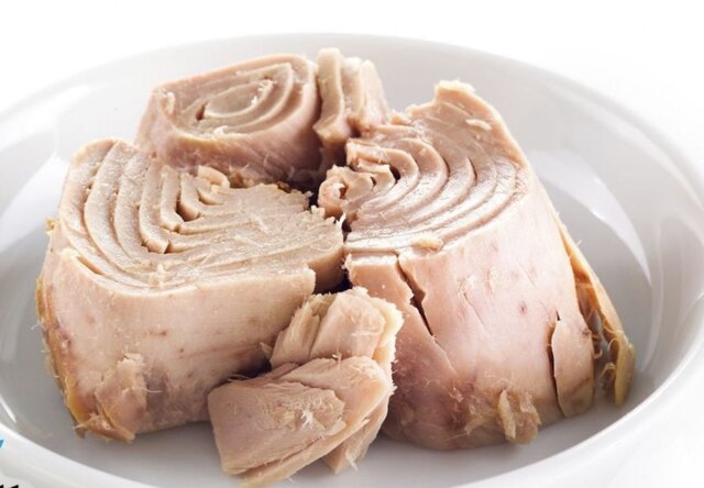 امکان استفاده بیشتر از تونماهیان در مصارف غیرکنسروی