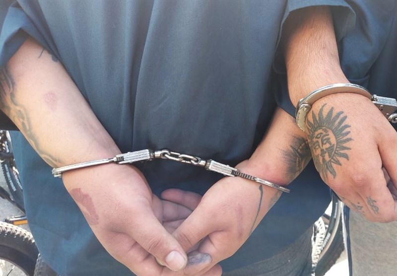 انهدام 64 باند سرقت در استان بوشهر