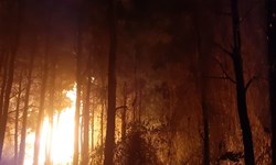 اینبار هم به خیر گذشت، مهار سومین آتشسوزی طی 2 ماه در مهریز