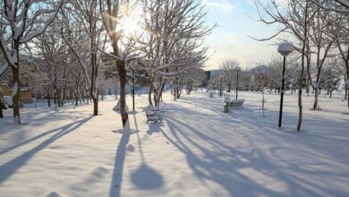 بارش 42 میلیمتری باران در ایستگاه کوهرنگ