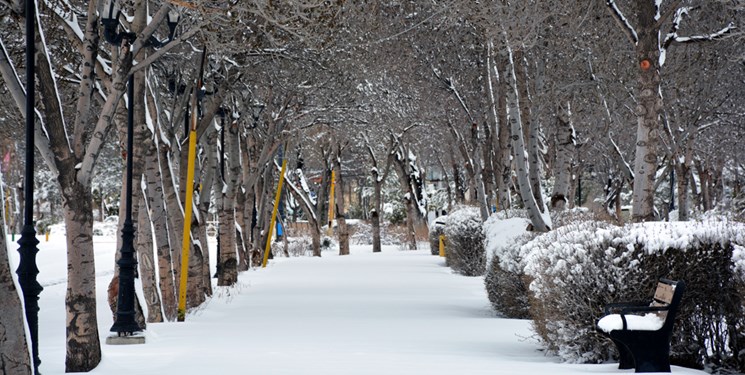 بارش برف سراسر استان اردبیل را سفیدپوش میکند