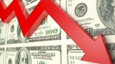 بانک مرکزی با منابع کافی خود نرخ ارز را به قیمت های قبلی برمیگرداند