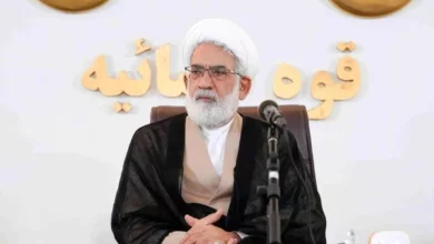 برخورد قاطع با اهانتکنندگان و حرمتشکنان حریم شهیدان در فضای مجازی لازم است