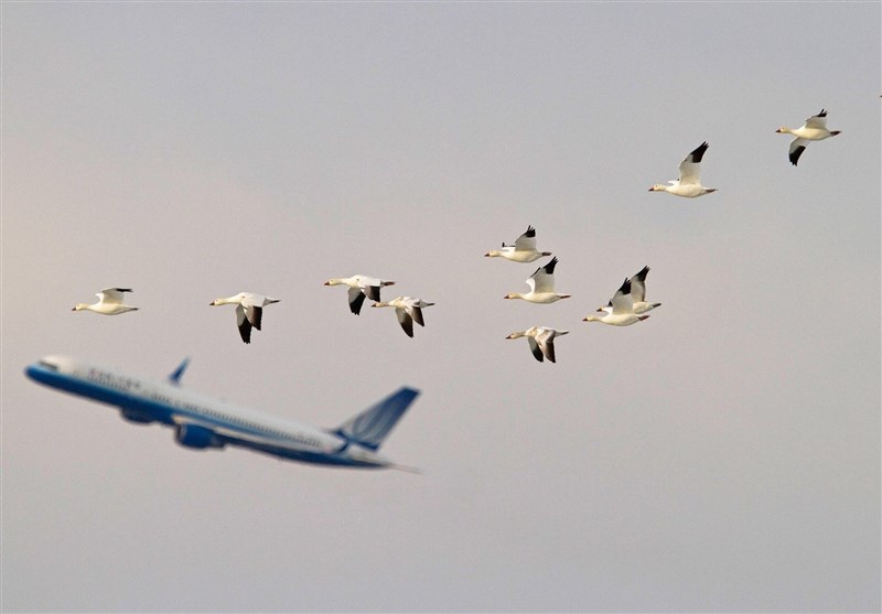 تاخیر ۲۸۴ هزار دقیقهای پروازها در آبان