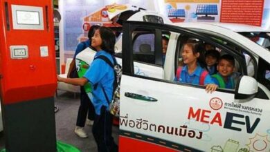 تایلند گل کاشت