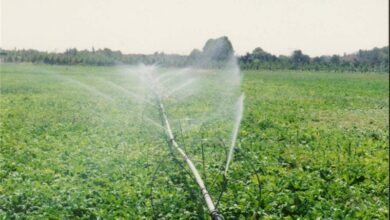 تجهیز 2 هزار هکتار از اراضی کشاورزی سیستان و بلوچستان به سیستمهای نوین آبیاری