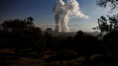 ترکیه بزرگترین تولیدکننده برق زغالسوز در اروپا میشود