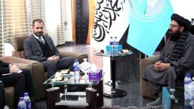 ترکیه: همکاری در بخش حملونقل هوایی و زمینی با افغانستان گسترش مییابد