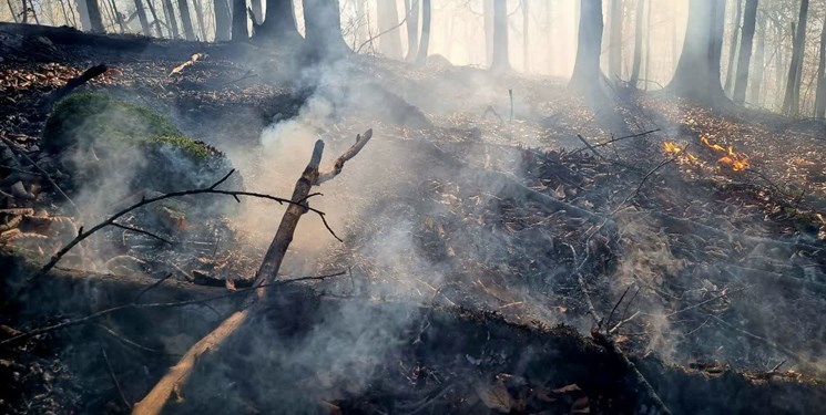 تلاش برای اطفای حریق در جنگلهای نور