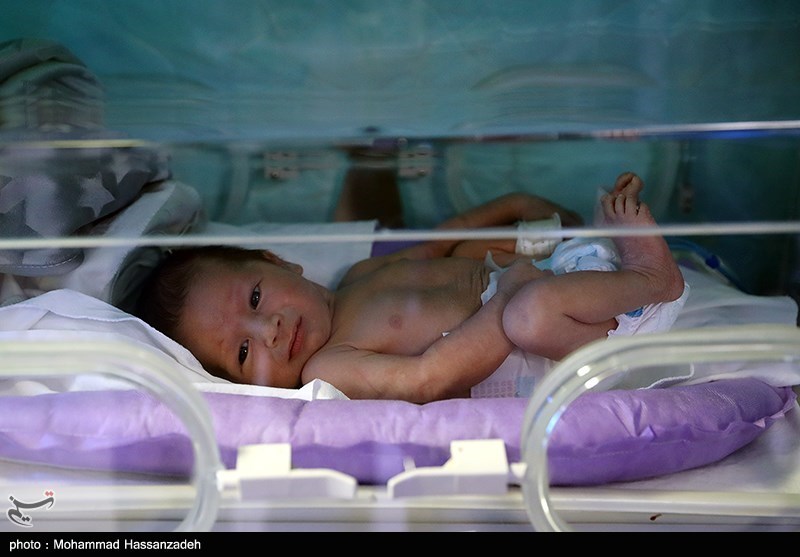 توسعه خدمات درمان ناباروری در استان مرکزی