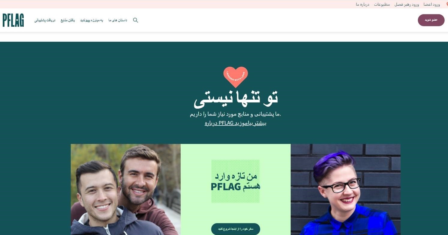 توصیه عجیب انجمن تجارت الکترونیک به بازگشایی سایتهای مستهجن و همجنسبازی