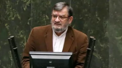 تولیت وزارت بهداشت از مجلس نمره نظارتی خوبی نمیگیرد/ دولت به تکالیف برنامه هفتم عمل کند