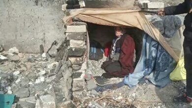 جمعآوری 734 معتاد متجاهر و خردهفروش در مشهد