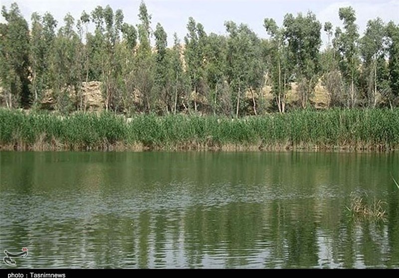 حریق در تالاب «بیشه دالان» بروجرد/ 4 هکتار در آتش سوخت