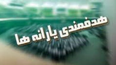 رای کمیسیون تلفیق به حذف ۵۰ همت از درآمدهای هدفمندی یارانهها