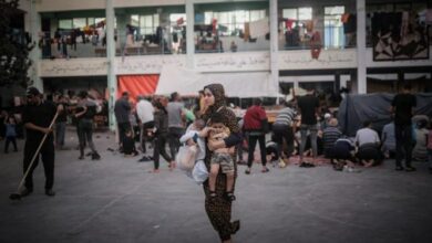 سازشگران عرب در سایه تشدید محاصره غزه غذای تازه به اسرائیل میفرستند