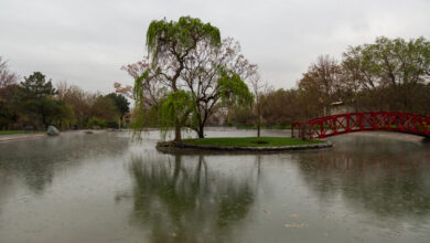 سایه بلندمرتبهها بر پیکر باغ گیاهشناسی/جلوی ساختو ساز اطراف باغ گرفته شود