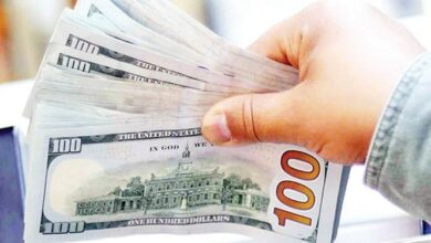 سقف تسهیلات مالی خارجی برای طرحهای دولتی و غیردولتی ۳ میلیارد یورو تعیین شد