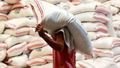 سیستمی شدن ثبت واردات، بازار برنج را شفاف میکند