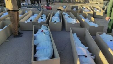 شهدای دانشآموز حمله تروریستی کرمان به ۲۴ نفر رسیدند