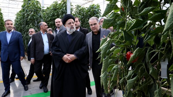 شهرک گلخانهای مدرن و شیشهای استان زنجان به بهرهبرداری رسید