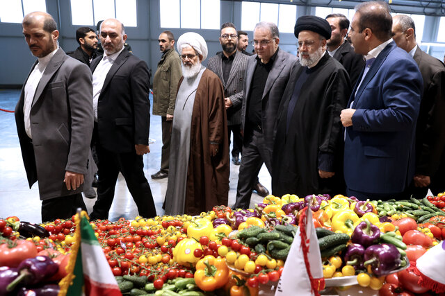 شهرک گلخانهای مدرن و شیشهای استان زنجان به بهرهبرداری رسید