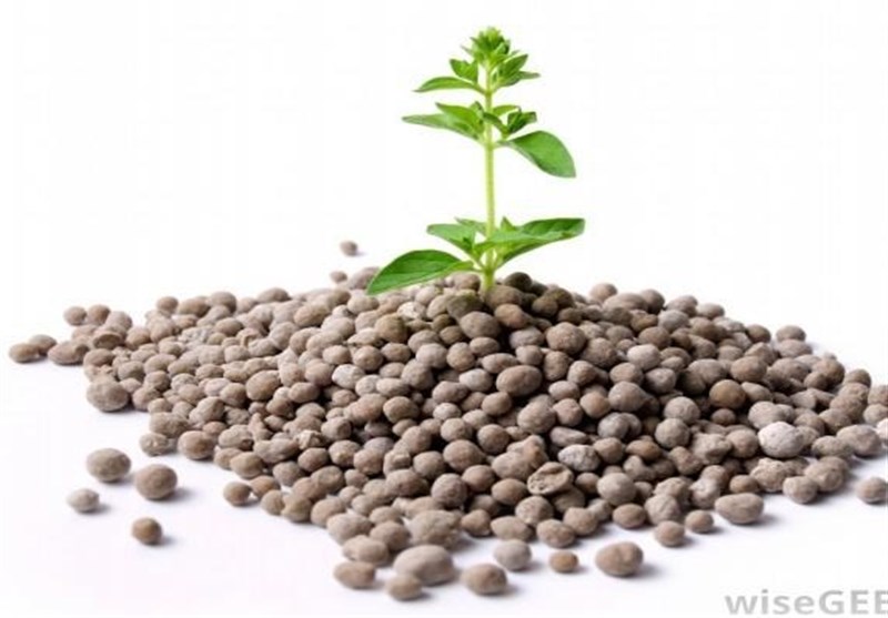 ظرف ۳ سال آینده در تولید کودهای فسفات و پتاس خودکفا میشویم