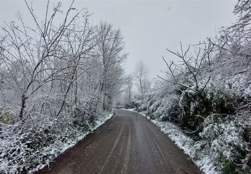 فعالیت سامانۀ بارشی در لرستان/ هشدار زرد هواشناسی صادر شد