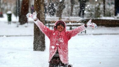 _مدارس_ _بخش_ _بازفت_ _و_ _صمصامی_ _در_ _شهرستان_ _کوهرنگ_ _تعطیل_ _است_