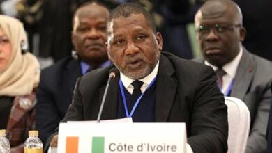 نایبرئیس مجلس ساحل عاج: وظیفه ما حمایت از فلسطینیان است