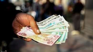 نرخ دلار به قیمت تعادلی قبلی باز میگردد/ مدیریت مناسب بانک مرکزی در بازار ارز