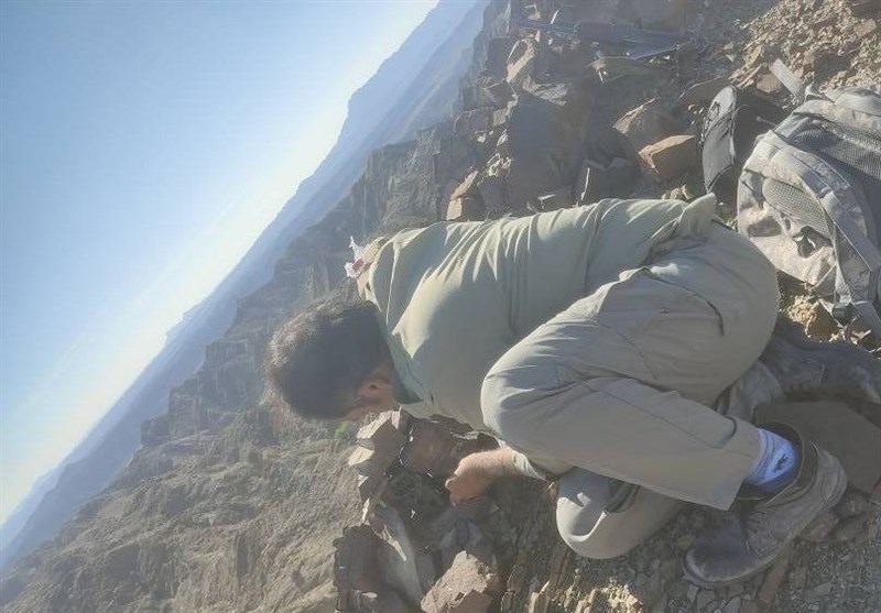 نزاع بینگونهای علت مرگ پلنگ نوشهری اعلام شد