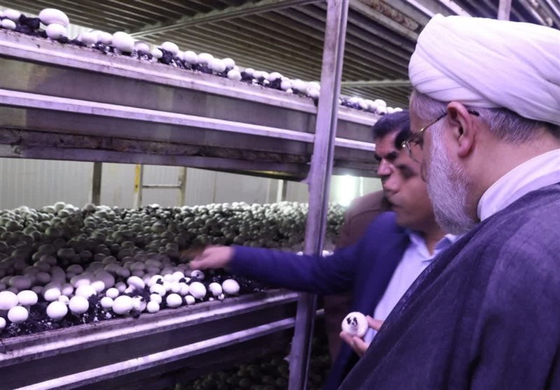 نماینده ولیفقیه در استان کردستان: طلاب مسائل دینی و عقیدتی را تبیین کنند + تصویر