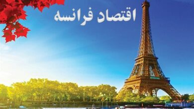 نماینده پارلمان فرانسه: تحریمهای ضدروسی اقتصاد ما را نابود کرده است