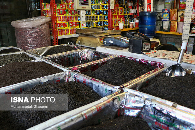 نواقص سیستمی شدن ثبت سفارش چای تا پایان سال برطرف میشود/ حمایت از چایکاران داخلی