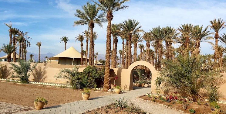 همای سعادت بر شانههای کویر شهدادِ کرمان