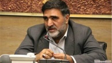 هیچ نامزدی برای عدم التزام به ولایت فقیه ردصلاحیت نشد/ علت ردصلاحیت برخی از نمایندگان فعلی مجلس چیست؟